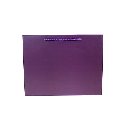 Colored Paper Bag