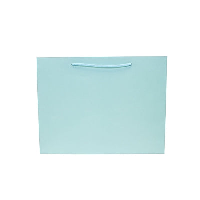 Colored Paper Bag