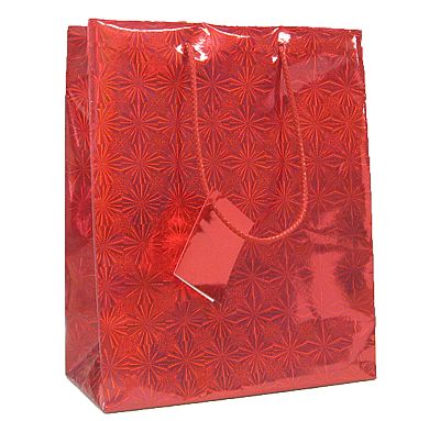 Euro Tote Hologram Paper Bag