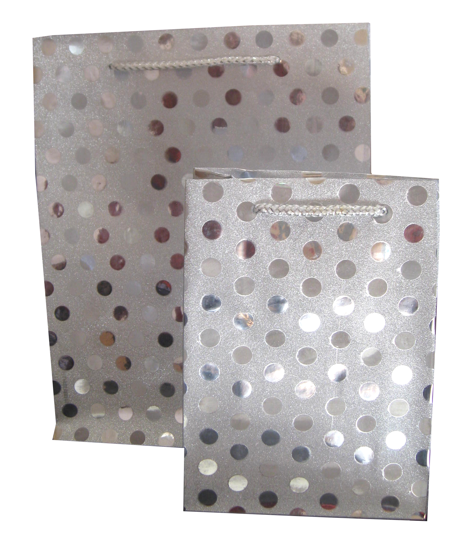 Glitter Bag