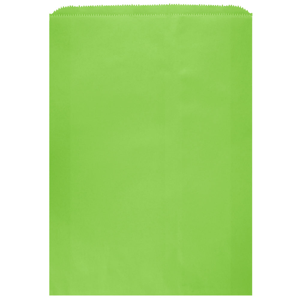Colored Flat Paper Merchandise Bag