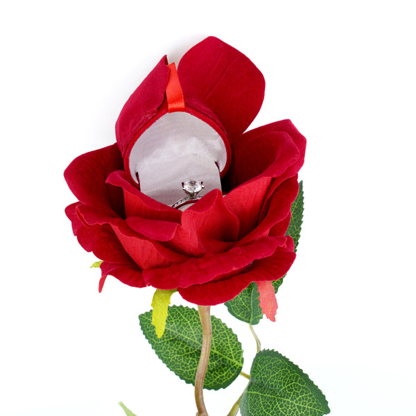 Flower Novelty Boxes