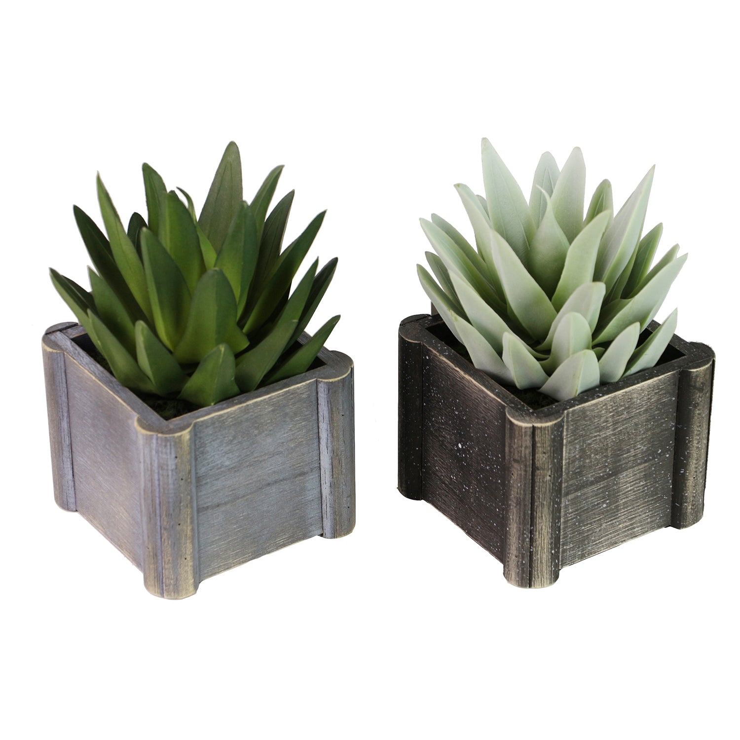 The CubicBlooms Collection