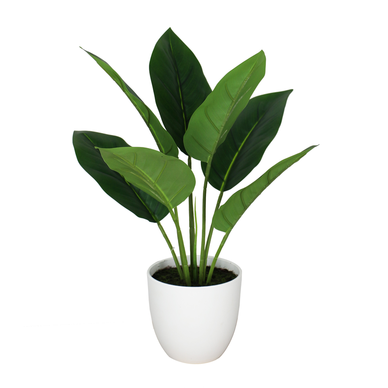 Aureum Bonsai Faux Leaves Plant in White Pot