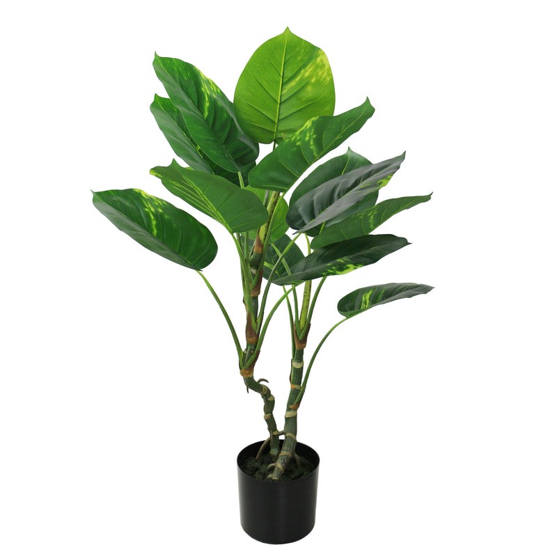 Small Artificial Dieffenbachia Bonsai - Greenery Accent