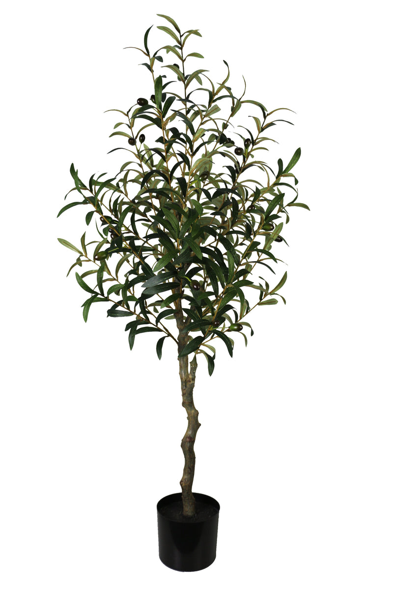 Lifelike Olive Tree
