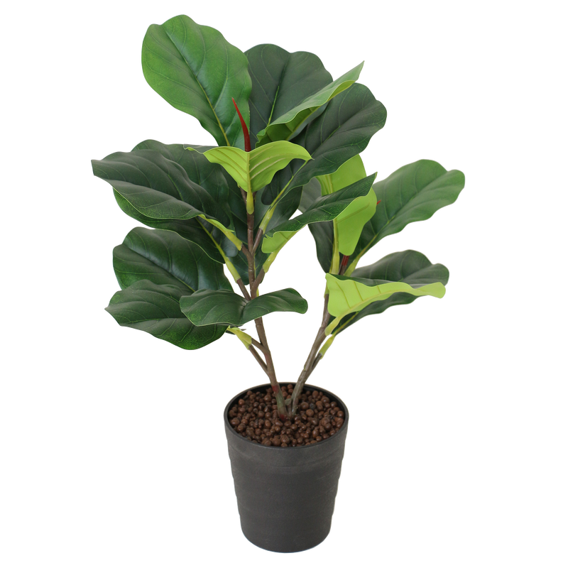 Artificial Fiddle Fig Tree - Greenery Accent