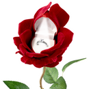 The Noble Rose Red Ring Box with LED Light