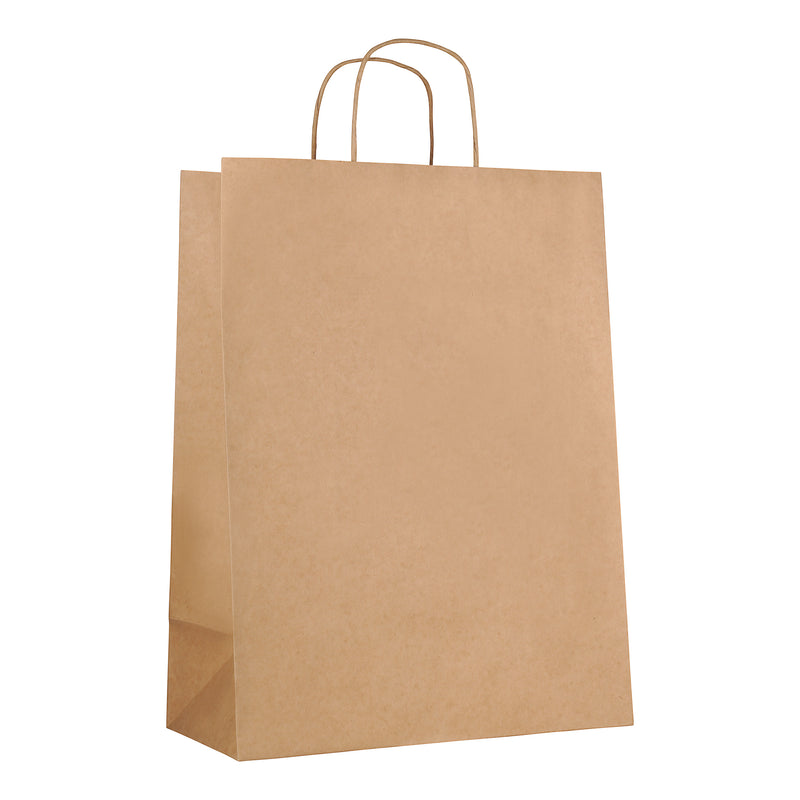 Eco-Friendly Kraft Grocery Bag