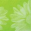Big Flower Green Printed Tissue Paper