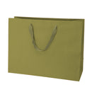 Manhattan Collection Twill Handle Paper Bag