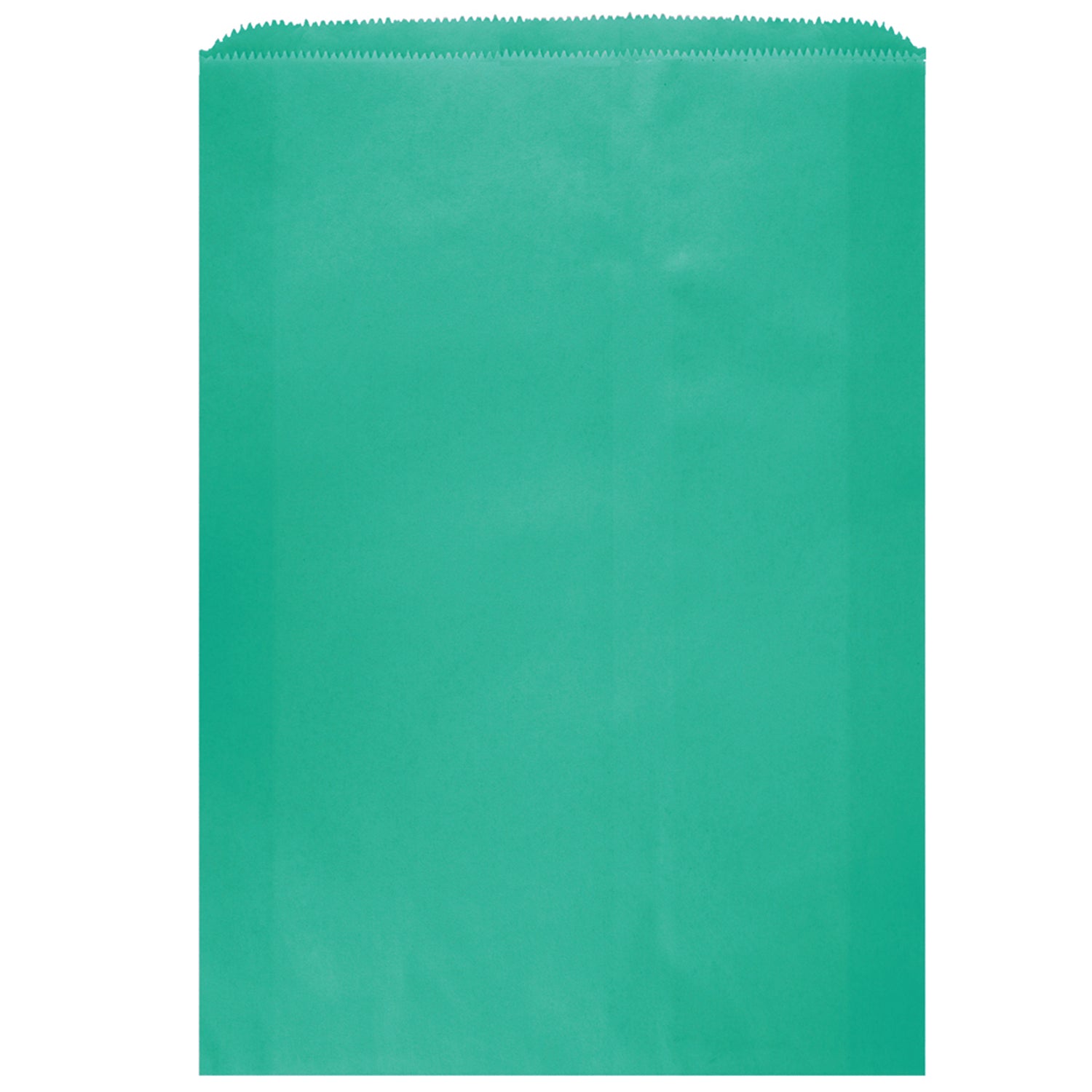 Colored Flat Paper Merchandise Bag