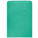 Colored Flat Paper Merchandise Bag