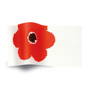 Flowers at Large Printed Tissue Paper