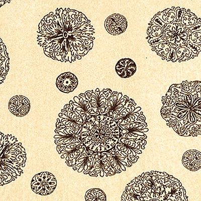 West Indies Printed Tissue Paper