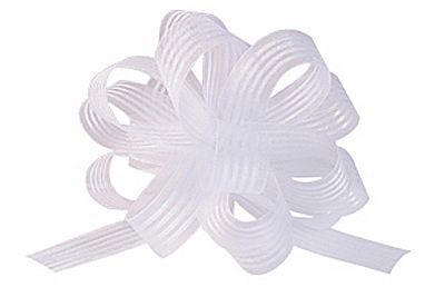 Satin Striped Stop and Lock Bow