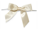 Satin Pre-Tied Bow