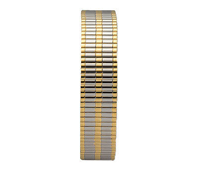 Men's Watch Band-Expandable- Two Tone