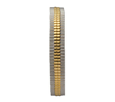 Woman's  Watch Band-Expandable- Two Tone