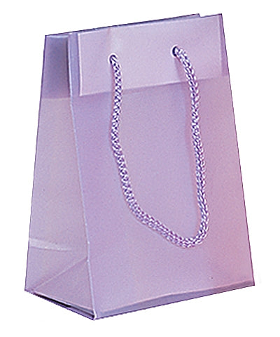 Fashion Frosted Plastic Bag with Rope Handles