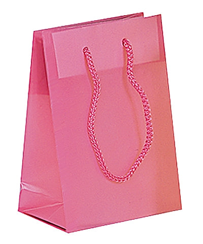 Fashion Frosted Plastic Bag with Rope Handles