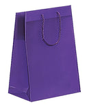 Frosted Plastic Bag with Rope Handles