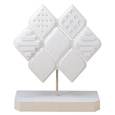 Leatherette  Display