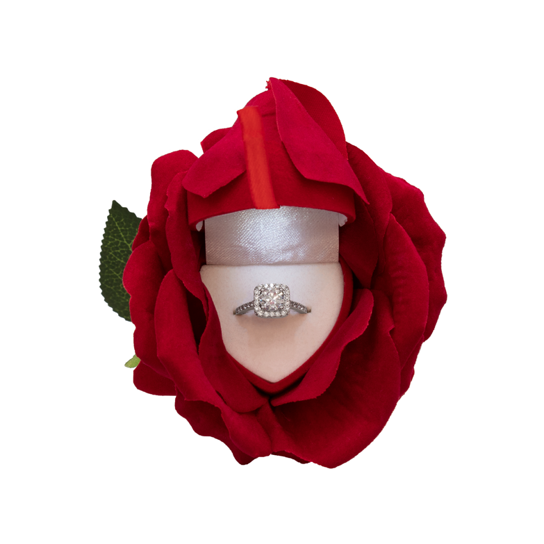 The Noble Rose Red Ring Box with LED Light