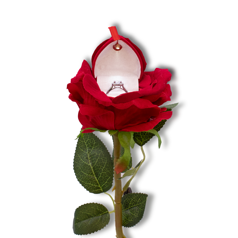 NOGIS Ring Box Red Rose Wedding Ring Holder Blooming and Rotatable for  Proposal Engagement Wedding Gift Supplies Ring Bearer Box(Black Box and Red  Rose) - Walmart.com