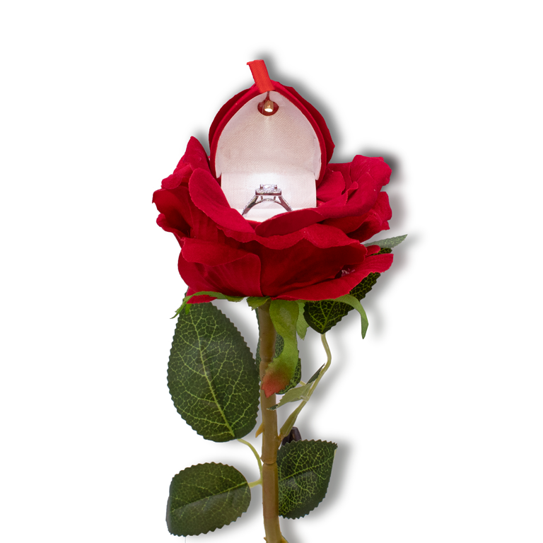 The Noble Rose Red Ring Box with LED Light