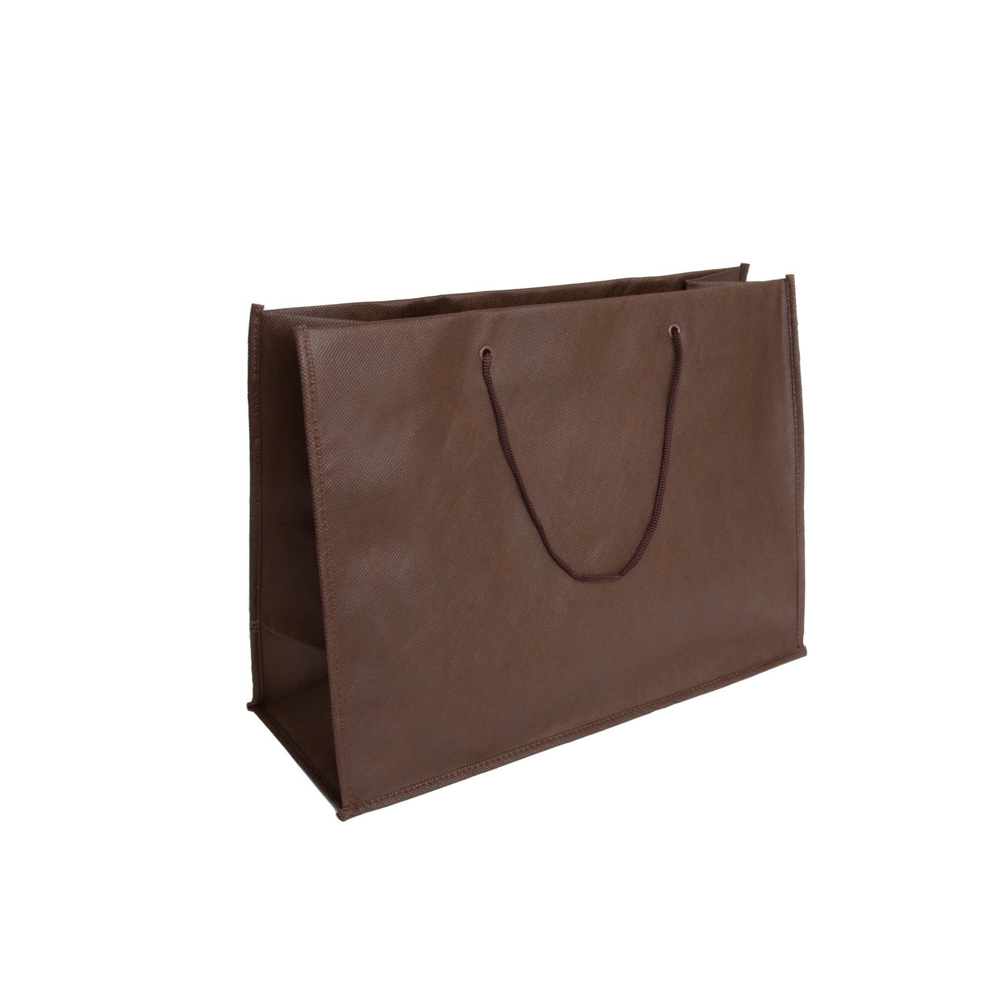 Nonwoven Bag with Rope Handles