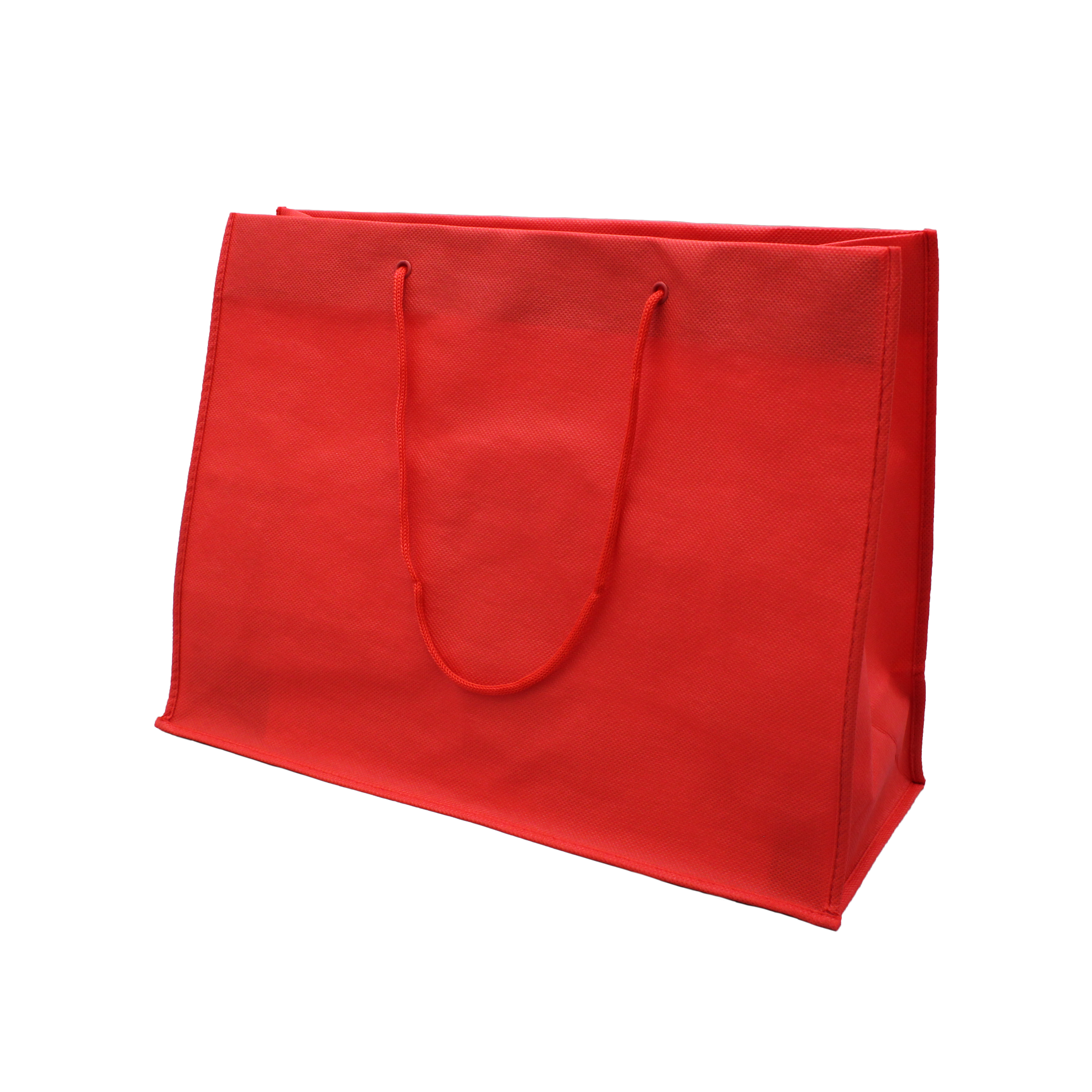 Nonwoven Bag with Rope Handles