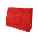 Nonwoven Bag with Rope Handles