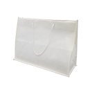 Nonwoven Bag with Rope Handles