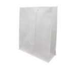 Nonwoven Bag with Rope Handles