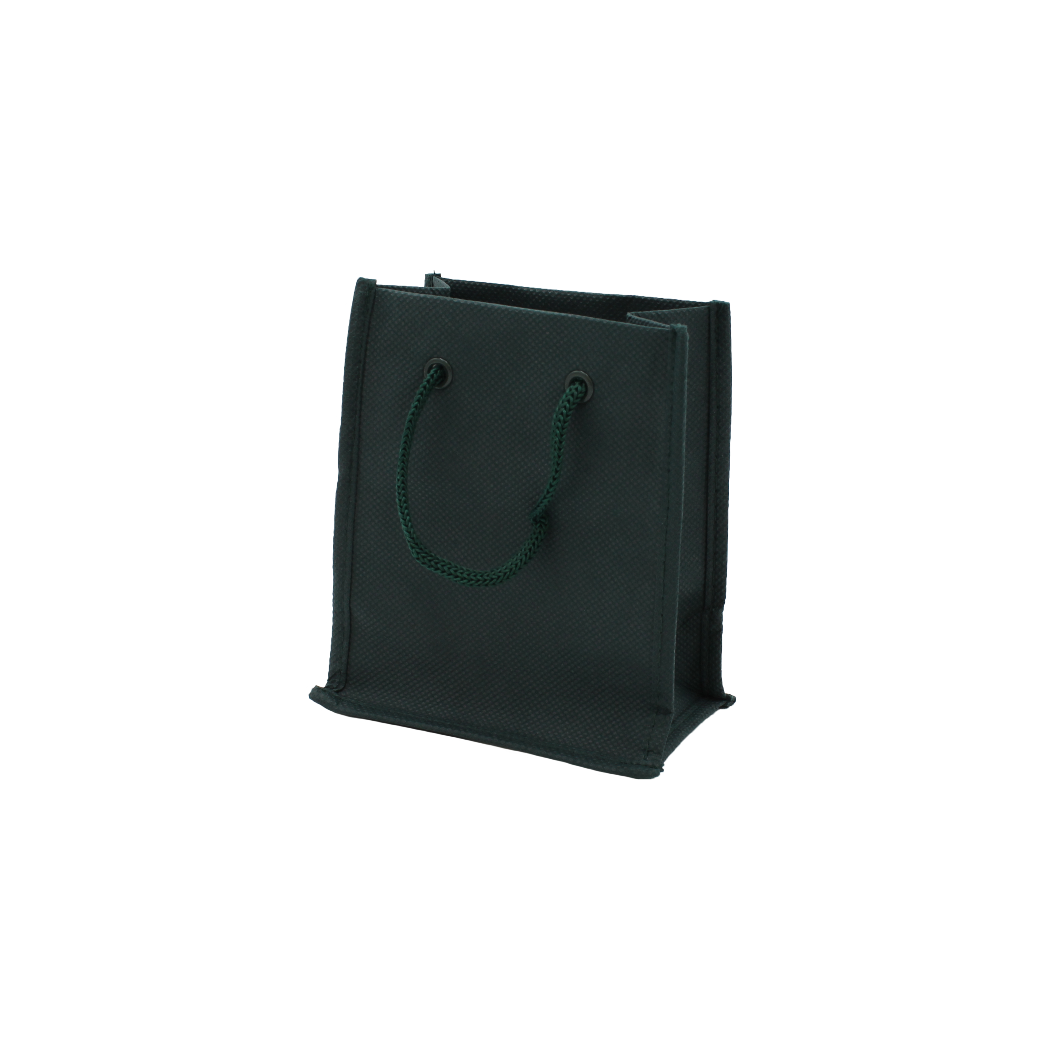 Nonwoven Bag with Rope Handles