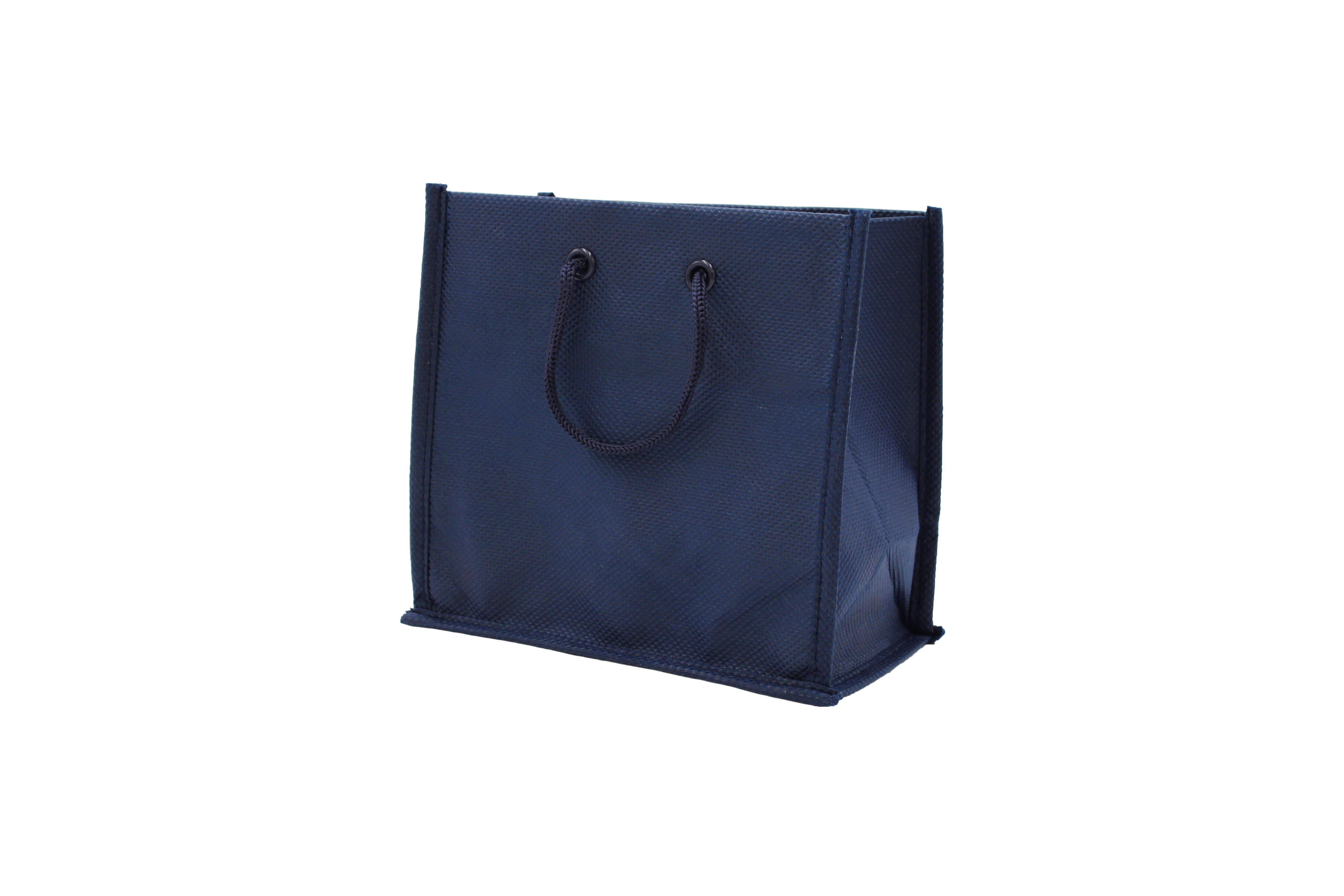 Nonwoven Bag with Rope Handles