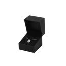 The Pompeii Universal Jewelry Box