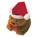 Bear with Hat Ring Box