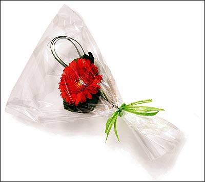 Clear Flat Cellophane Bags