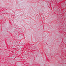 Elegant Prints Cellophane Rolls