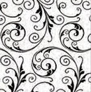 Elegant Prints Cellophane Rolls