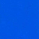 Elite Tissue Paper - 20" x 30"