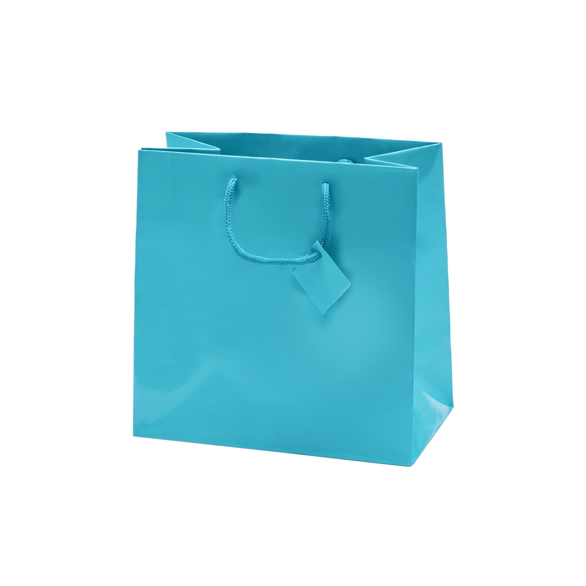 Laminated Glossy Euro Tote Bags