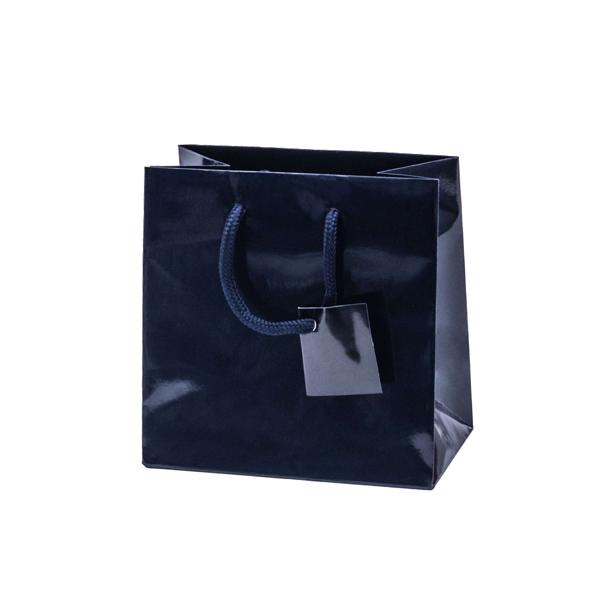Laminated Glossy Euro Tote Bags