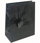 Laminated Glossy Euro Tote Paper Bags