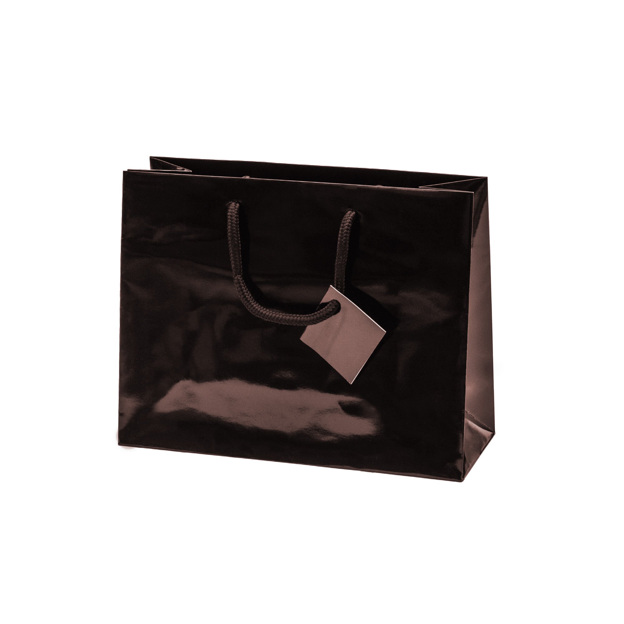Laminated Glossy Euro Tote Bags