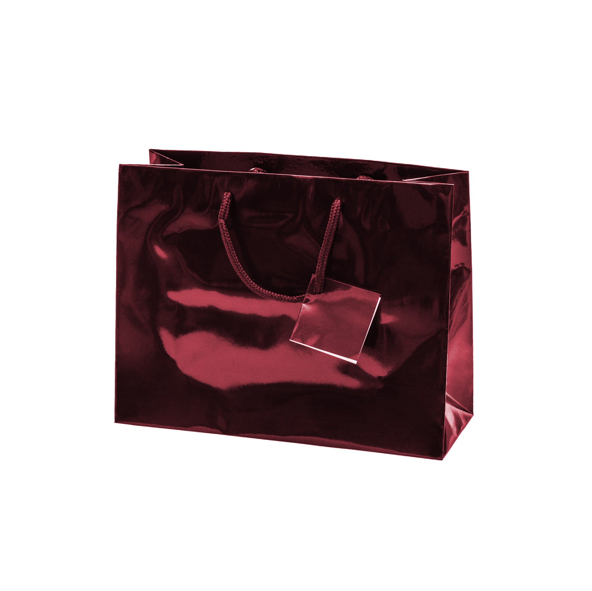 Laminated Glossy Euro Tote Bags