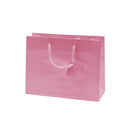 Laminated Glossy Euro Tote Bags