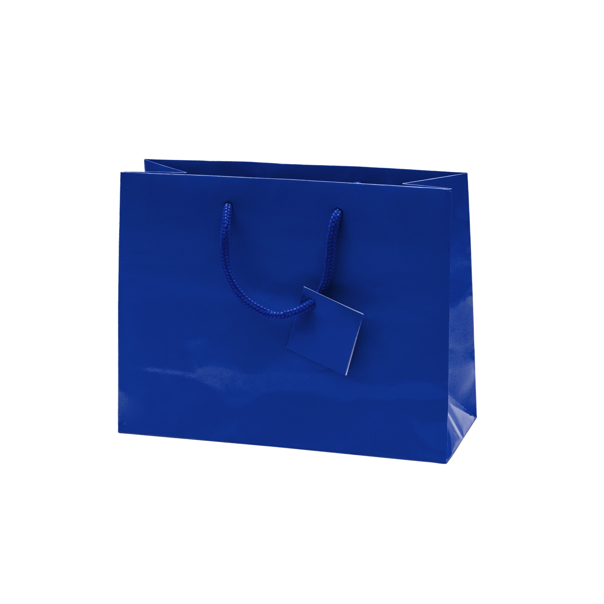 Laminated Glossy Euro Tote Bags